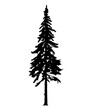 Silhouette of tall skinny pine tree. Hand made.