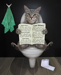 A gray cat is sitting on a white toilet bowl and reading a newspaper in a bathroom.