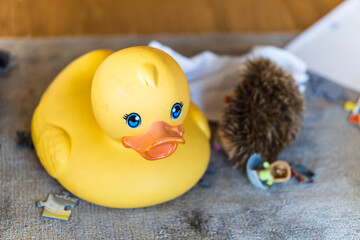 Wall Mural - Closeup shot of a yellow rubber duck toy and a hedgehog toy on a carpet