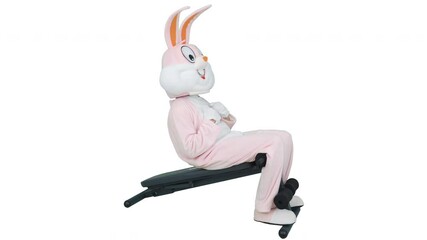 Wall Mural - Easter Bunny or rabbit funny sportsman athlete bodybuilder is practicing trains exercises abdominal muscles isolatedon white background. Fitness, training, workout, body care and positive concept