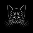Engraving of stylized cat portrait on black background.. Line art. Stencil art. Stylized cat face. Cat outline.