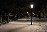 Fototapeta Paryż - .light from street lights and a walkway sunken with snow in the center of Prague in the park at night