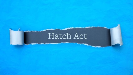 Wall Mural - Hatch Act. Blue torn paper banner with text label. Word in gray hole.