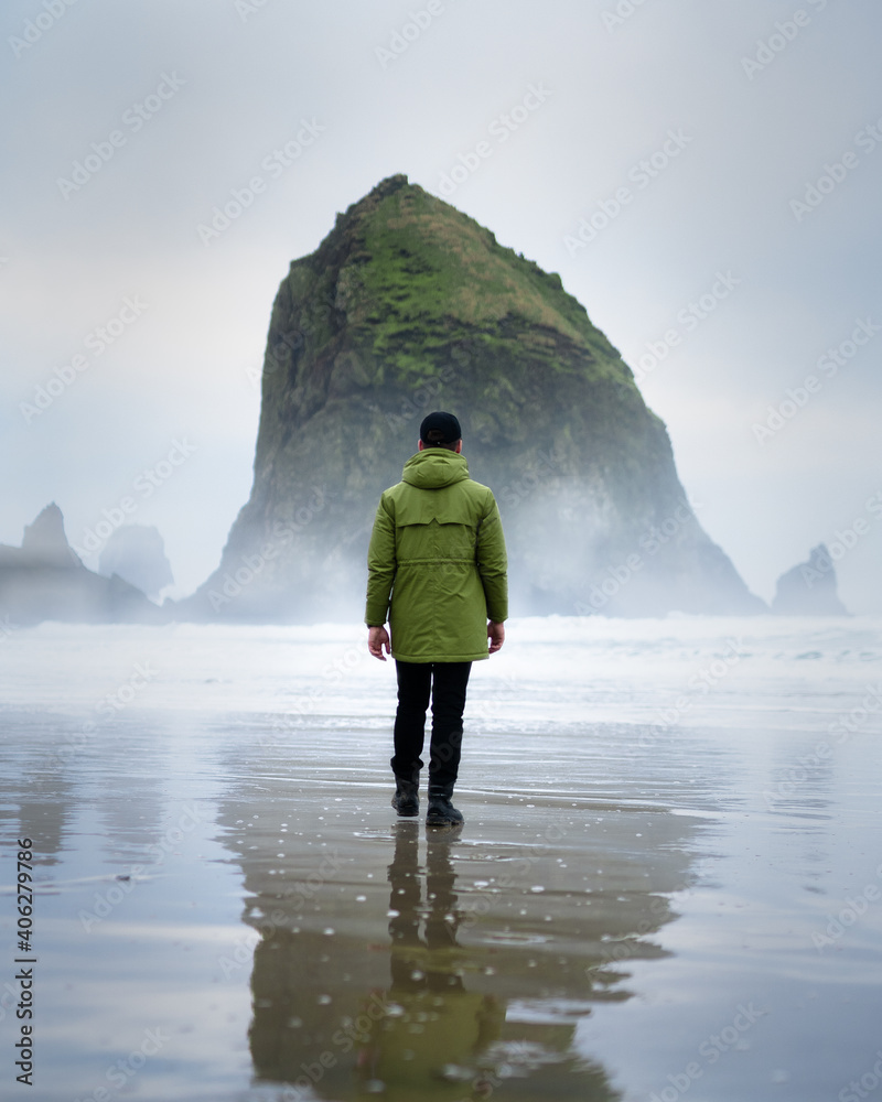 Rear View Of Man Walking At Beach During Winter - obrazy, fototapety, plakaty 