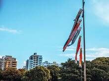 Low Angle View Of Koinbori Against Blue Sky