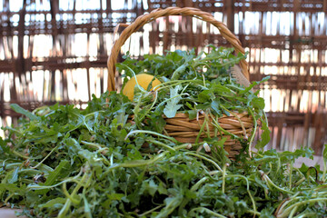 Sticker - Selective focus shot of a heap of Arugula plant and a Trifoliate orange in a basket