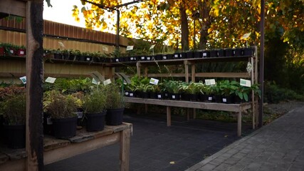 Aufkleber - Garden center with nursery. A row of flower in pots