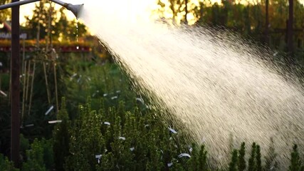 Aufkleber - Close-up of a sprinkler in a garden center nursery at sunset. Slow motion