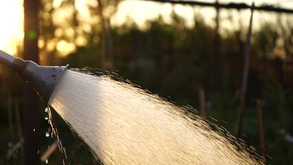 Aufkleber - Close-up of a sprinkler in a garden center nursery at sunset. Slow motion
