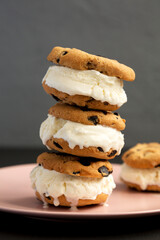 Wall Mural - Homemade Chocolate Chip Cookie Ice Cream Sandwich on a pink plate, side view. Close-up.