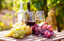 Still Life With Glasses Of Red And White Wine And Grapes In Field Of Vineyard