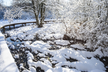 Poster - Belgique Wallonie Gaume Habay hiver bois foret nature lac neige