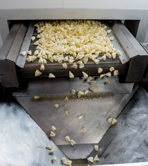 Conveyor line for frying snacks and chips in a modern factory