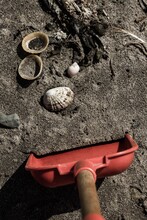 Close-up Of Sand And Spade With Shells