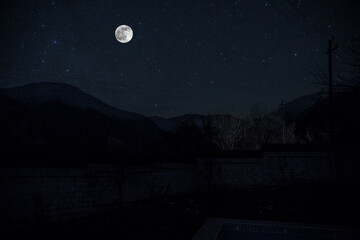 Wall Mural - Mystical landscape of Full Moon Rising over tall green meadow with trees at Forest; Skyline Silhouette