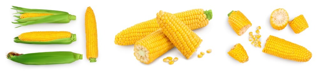 ear of corn isolated on a white background. Clipping path and full depth of field. Set or collection