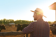 Worker Standing Near Cow Pen On Farm. Animal Husbandry