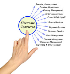 Wall Mural - Twelve Components of Electronic Commerce.