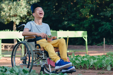 Wall Mural - Asian special child on wheelchair happy on vegetable garden background,Activity in outdoor classroom with school, Life in the education age of disabled children,Happy disabled kid concept.