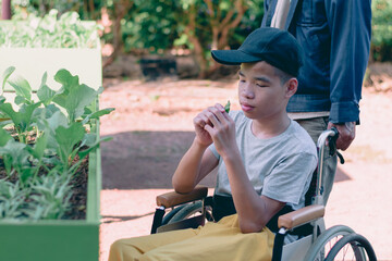 Wall Mural - Asian special child on wheelchair and teacher happy on vegetable garden background,Activity in outdoor classroom with school, Life in the education age of disabled children,Happy disabled kid concept.