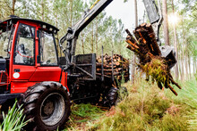 Heavy Vehicle Used In The Logging And Forest Maintenance Industry