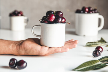 Wall Mural - Red ripe cherries in the hand over white background