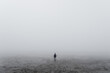 Unknown alone man in the fog, Beach, Baltic Sea, Slowinski National Park, Leba