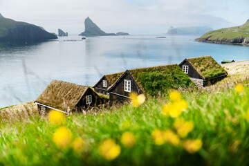 Wall Mural - picturesque view of tradicional faroese grass-covered houses in the village bour. drangarnir and tin