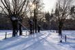 Piękno zimowego dnia na Podlasiu, Polska