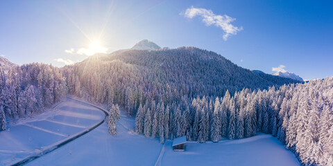 Wall Mural - wonderful winter forest landscape with sunbeams in the reutte holiday region