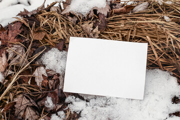 Wall Mural - Winter stationery still life. Closeup of horizontal blank greeting card, invitation on frozen ground. Dry grass and autumn leaves with snow. Outdoor, branding concept. Flat lay, top view. Selective