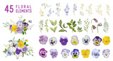 Fototapeta Dinusie - Vintage pansy flowers and leaves, spring violet florals in watercolor style. Vector summer garden design