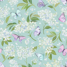 Seamless Watercolor White Elderberry Floral Background. Spring Elderflower And Butterflies Pattern