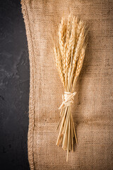 Ears of grain. Golden ears of wheat on burlap textile