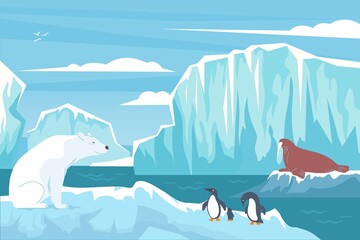 Wall Mural - Polar Wildlife Flat Composition