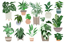 Big Set Of Home Plants In Pots, Scandi Design