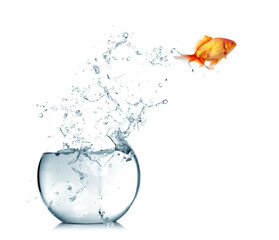 A goldfish jumping out of the broken fishbowl on white background.