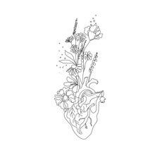 Continuous Line Drawing Of Heart With Flowers Trendy Minimalist Illustration. Heart One Line Abstract Drawing. Love Minimalist Contour Drawing. Vector EPS 10.