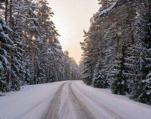 Canvas Print - road in winter forest