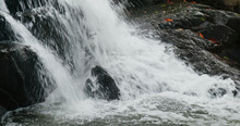 Cascade Waterfall River In Tropical Forest