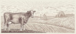 Cow, against the background of a rural landscape with a farm, illustration in a graphic style.