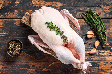 Raw whole mallard duck, poultry meat with herbs. Dark wooden background. Top view