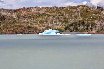 Wall Mural - Iceberg on Lago Gray, Torres del Paine National Park, Patagonia, Chile