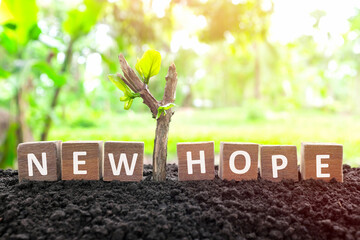 Poster - Dead plant branch with new leaves growing on soil with wooden blocks. Spring season new life, hope, healing and beginning concept.