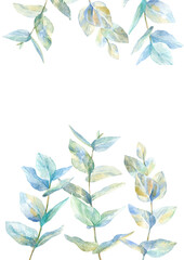  Floral border .Garland of a eucalyptus branches.Frame of a herbs.Watercolor hand drawn illustration.It can be used for greeting cards, posters, wedding cards.	