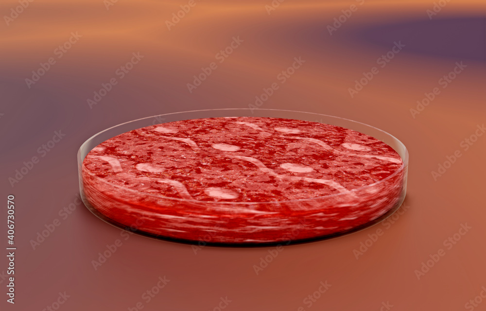 In-Vitro-Zucht von Laborfleisch. - knstlich hergestelltes Fleisch,  Ernhrung der Zukunft, synthetisches Fleisch in einer Petrischale Stock  Illustration | Adobe Stock