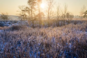 Wall Mural - Frosty morning in the countryside.