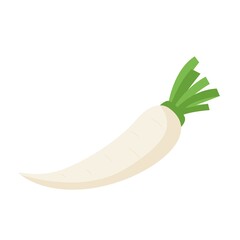 Poster - Daikon Vegetable Icon