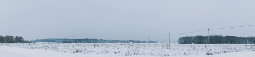 Wall Mural - Deserted winter landscape of a snow-covered field