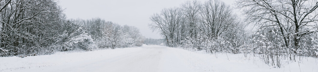 Canvas Print - A road in a winter snow-covered forest